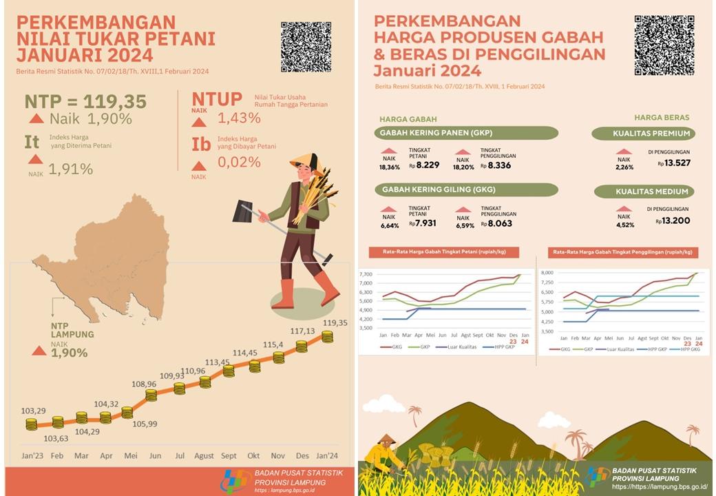 NTP Provinsi Lampung Januari 2024 sebesar 119,35 atau naik 1,90 persen sedangkan Harga GKG di Tingkat Petani naik 6,64 persen dan Harga Beras Premium di Penggilingan naik 2,26 persen